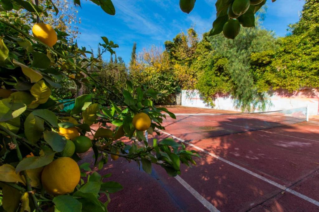 Villa Zahra Palmeraie Marakeş Dış mekan fotoğraf